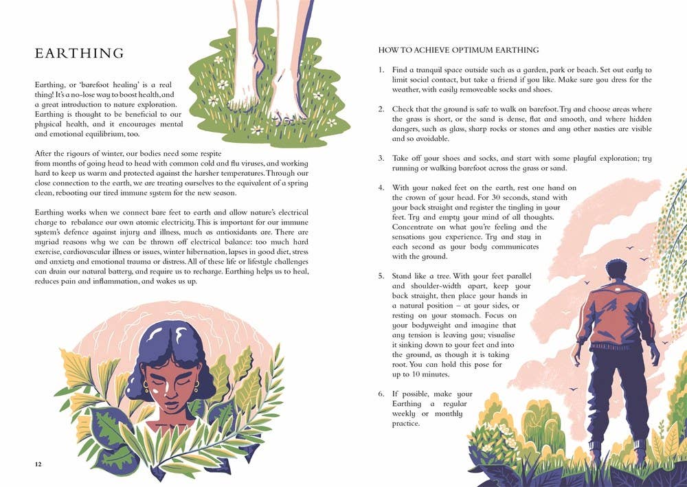 Independent Publishers Group - Wild Handbook: Hardcover / 160