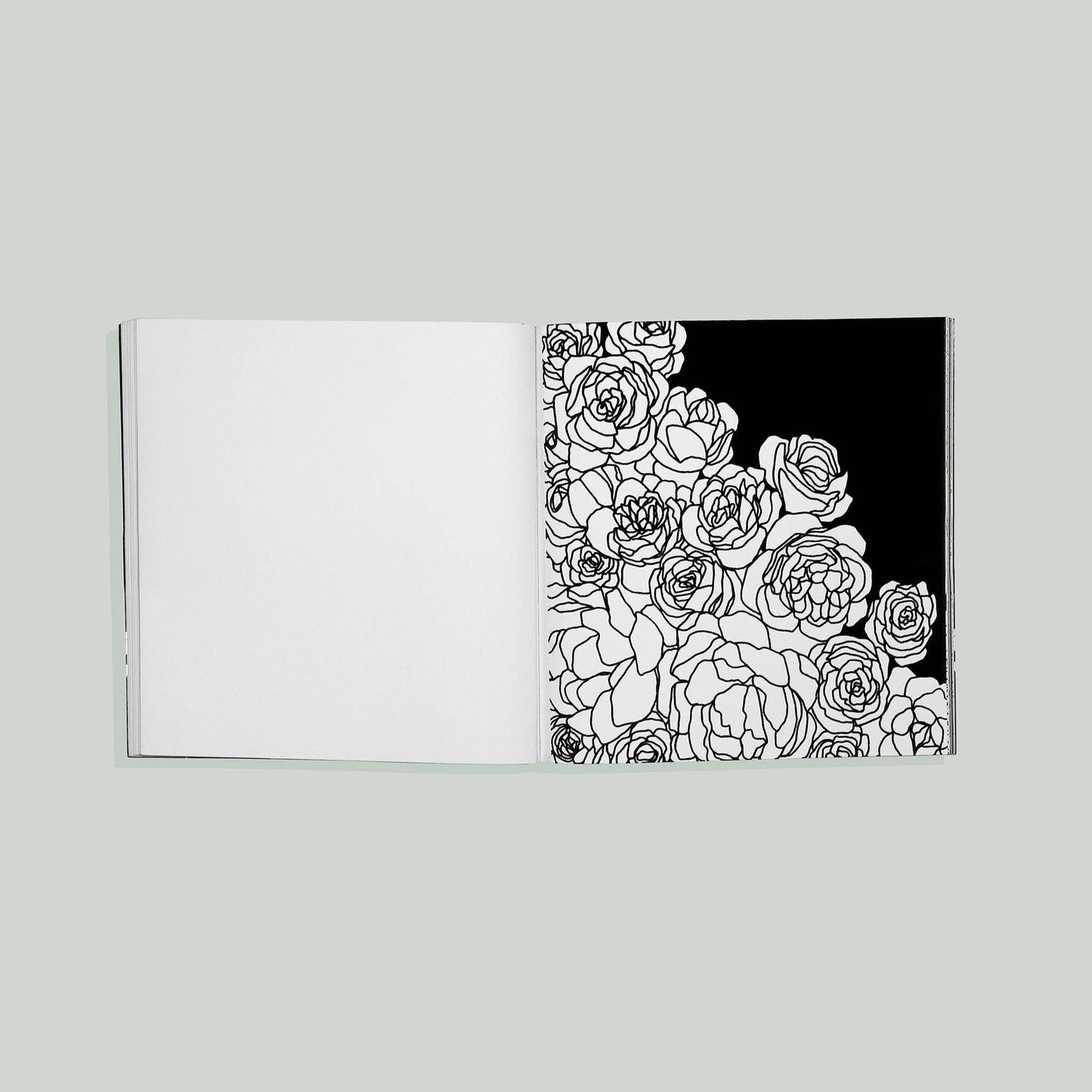 Paige Tate & Co. - Bloom: Adult Coloring Book with Bonus Velvet Pages