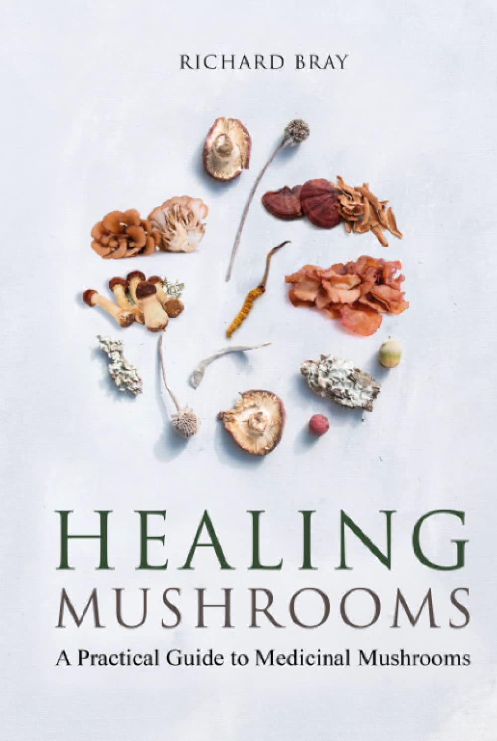 HEALING MUSHROOMS: A Practical Guide To Medicinal Mushrooms