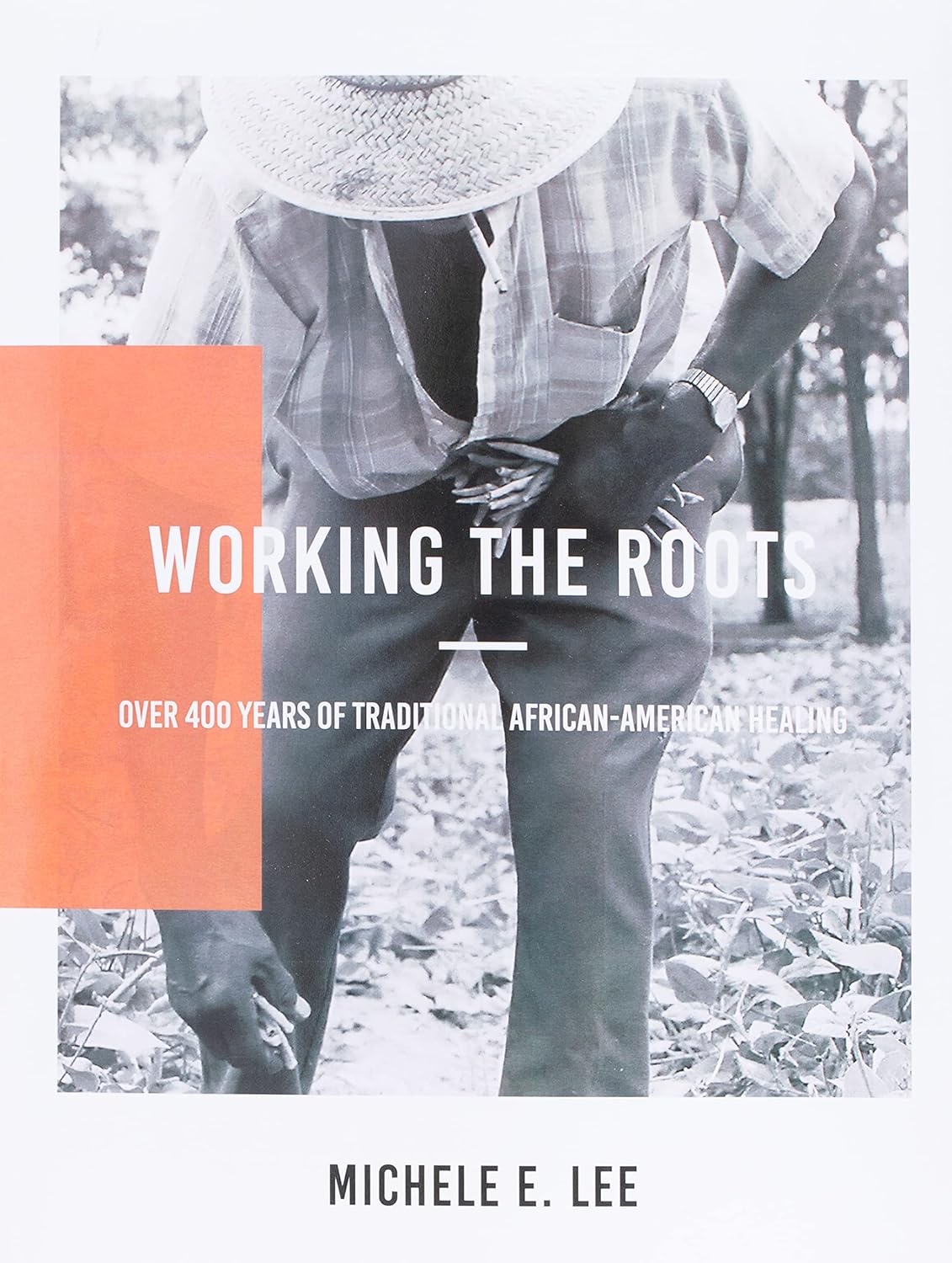 Working The Roots: Over 400 Years of Traditional African American Healing