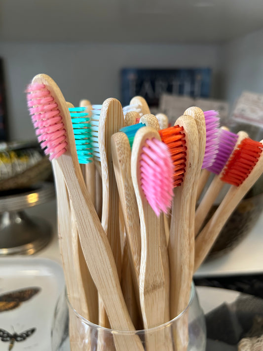 Toothbrush bamboo