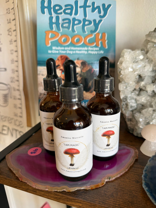 Uri - Amanita Tincture