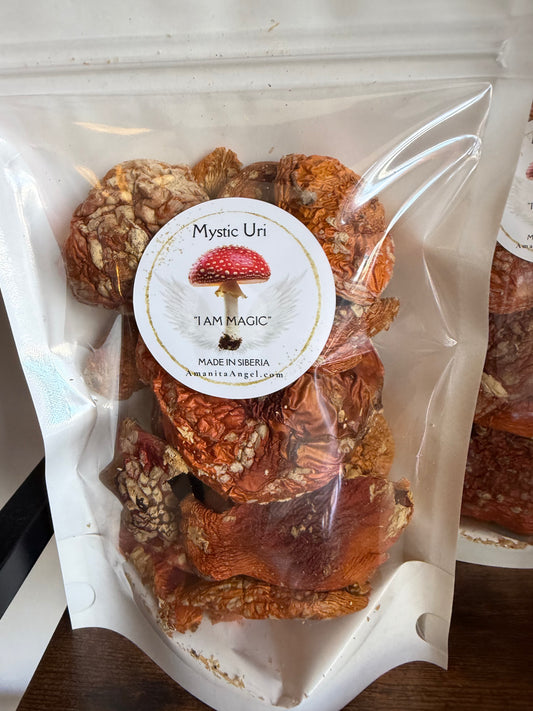 Uri - Small Amanita Caps Bag