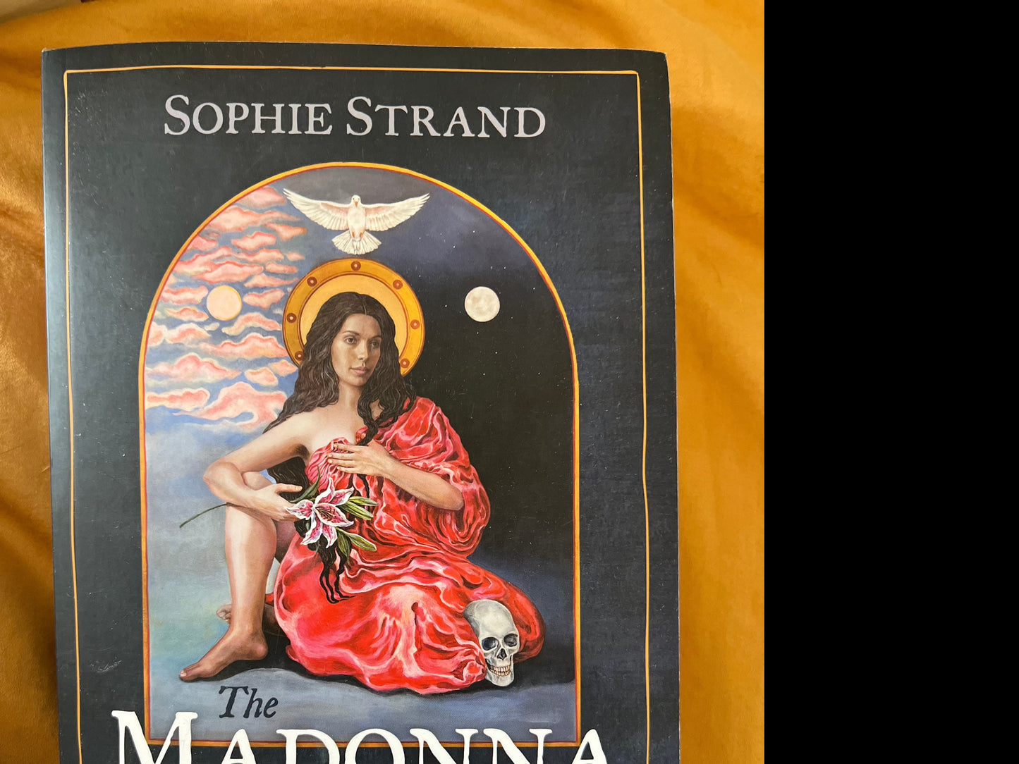 The Madonna Secret - a Novel