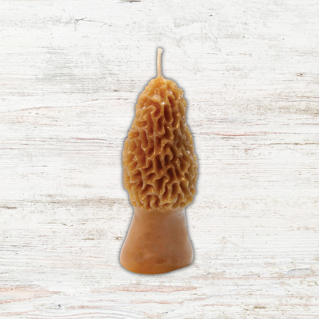 Angle Acres - Morel Mushroom Beeswax Candle: 3in