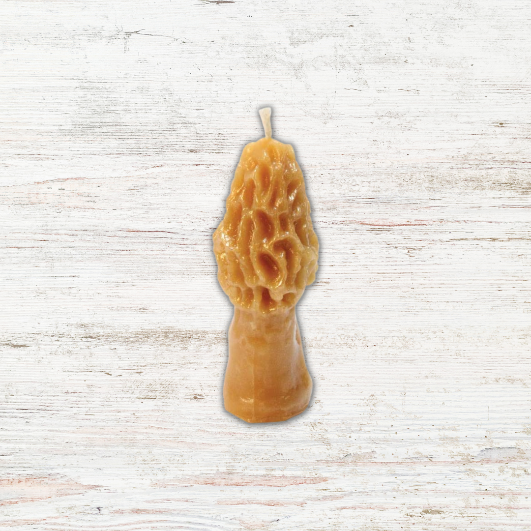 Angle Acres - Morel Mushroom Beeswax Candle: 3in