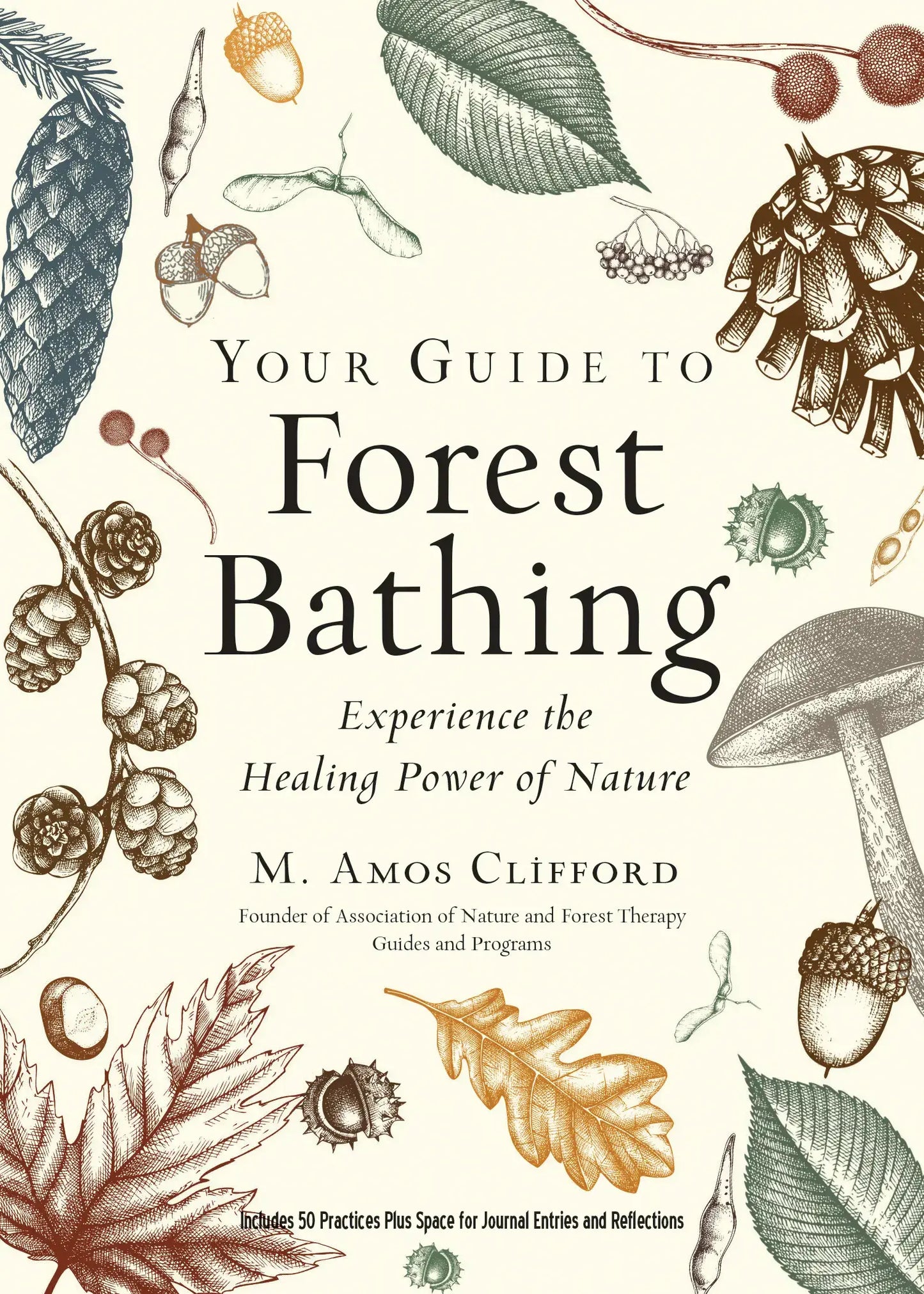 Red Wheel/Weiser LLC - Your Guide to Forest Bathing (Expanded Edition)